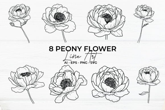 Download Peony Flower Line Art - Premium Resources